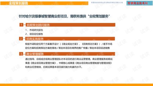 智慧商業(yè)街招商運(yùn)營及物業(yè)管理綜合解決方案.ppt